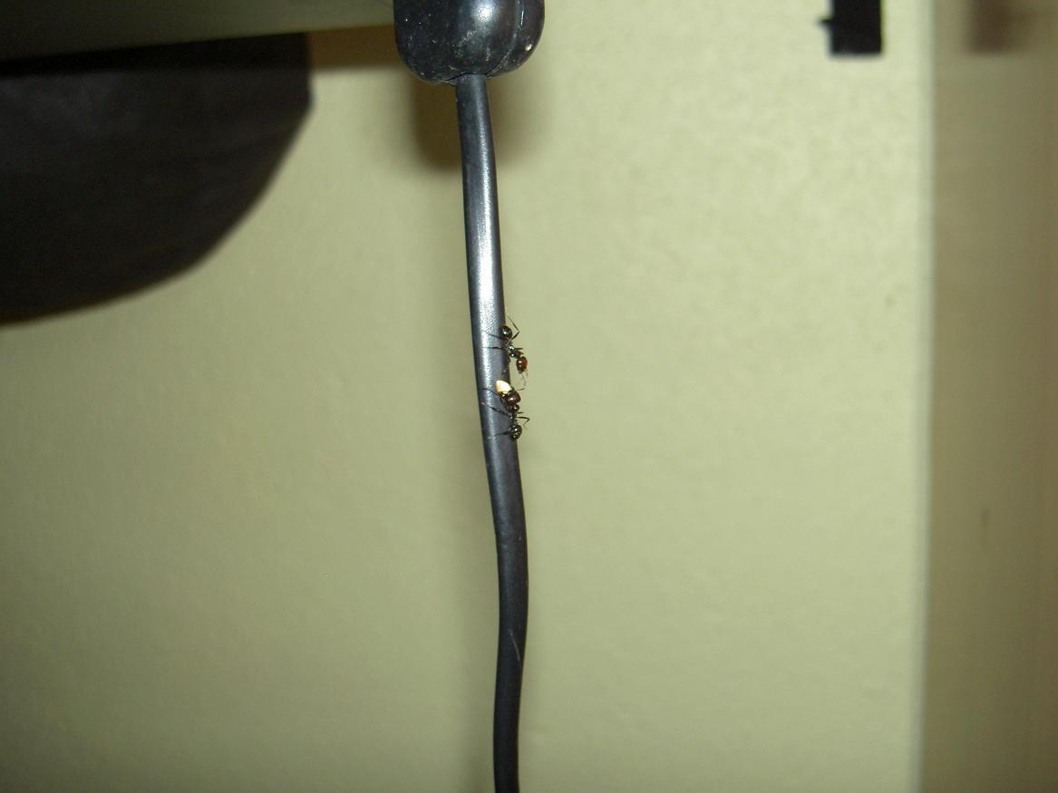 Fuga en mi habitacion