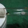 tubo