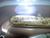 Mis cardyocondila mauritanica