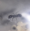 misteriosas