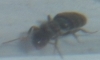 !2