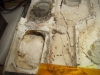 Pheidole sp (Tita 6 Nov)_1