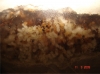 huevos solenopsis