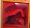 Camponotus mus 02