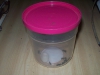 Camponotus jardin_6