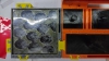Camponotus mus 02