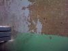 campo