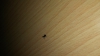 Identificar