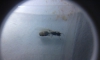 identificar 1