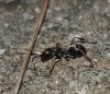 por identificar