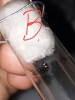 Alguien me ayuda a identificarlas???