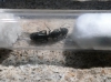camponotus