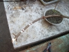 Campo_en_ramas_5