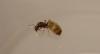 DSC02723b.jpg
