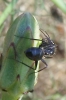a identificar