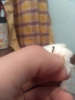Foto6