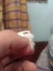 Foto5
