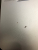 ayuda a identificar