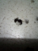 ayuda a identificar