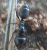 Ayuda a identificar