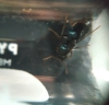 Sin identificar. Pogo?