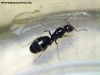 Identificar_26_Nov_2