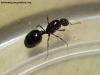 Identificar_26_Nov_5