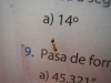 Temno sp.