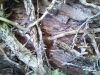 sin identificar3