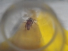 Ayuda a identificar
