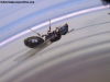 Tetras_?_22_Ene_18_2