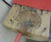 Soldado Camponotus bicolor