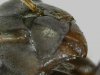 Formicinae