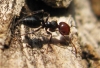 identificaci�n