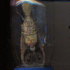 insecto0001