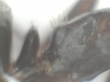 josart070