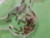Bitacora 05