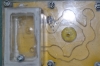 Lasius2