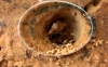 http://www.lamarabunta.org/4images/data/media/310/Camponotus_sylavticus_20-10_10.jpg
