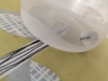 crematogasterauberti1?