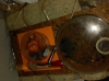 Alilibo Congelaci�n forzosa experimento 3