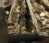 Traslado Aphaenogaster.