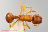 M-sabuleti5raw