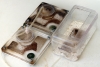 Solenopsis Fugax