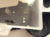 Karim Messor Pupa