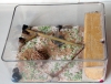 Hormiguero ytong con caja de forrajeo