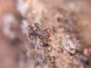 dscn7014