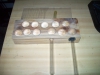 HormiAttack_2