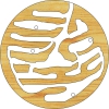 Para Camponotus