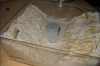 Pareados hormiguiles2